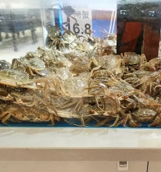 专业粮油批发配送 肉类海鲜冻品配送 调味品批发配送