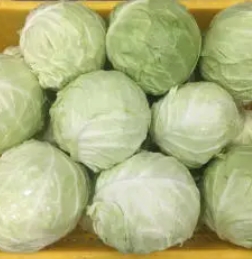 蔬菜、水果、鲜肉、冻货、禽蛋配送服务