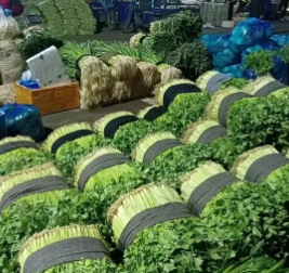 农副产品配送|蔬菜配送|生鲜配送